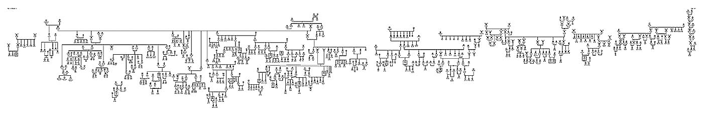 el árbol genealogico de los Saccheri en el mundo