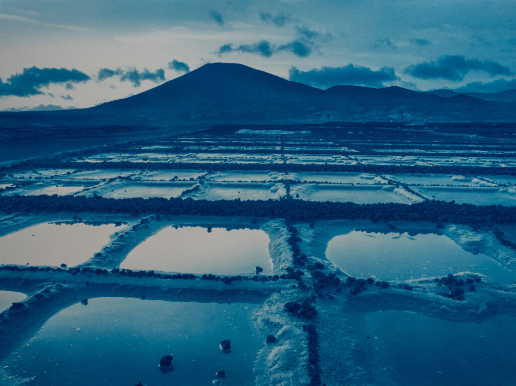 40x30cm (16x12") cyanotype print: saltworks, Los Cocoteros